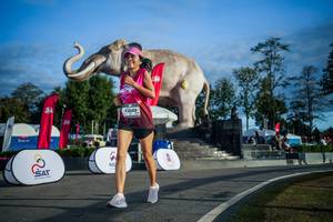 BIB: 
                            <button type="button" onclick="openModal(26541737)" class="btn btn-primary btn-sm float-right btn-popup" data-toggle="modal" data-target=".modal-high-quality">
                        <i class="fas fa-shopping-cart"></i> Add to Cart
                    </button>
                                            <button type="button" onclick="isThisMe(26541737, true)" class="btn btn-success btn-sm float-right btn-popup btn-isme hidden" data-toggle="tooltip" data-placement="bottom" title="นี่คือรูปของคุณใช่ไหม คลิกที่นี่เพื่อเอาเข้าอัลบั้ม">
                        <i class="fas fa-plus"></i> Add to album
                    </button>
                    <button type="button" onclick="isThisMe(26541737, false)" class="btn btn-warning btn-sm float-right btn-popup btn-isnotme hidden">
                        <i class="fas fa-ban"></i> Remove from album
                    </button>